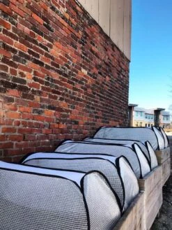 Row Shelter Accelerator -Flowers Plants Shop 8591990 01IN tif