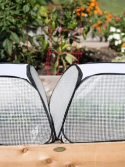 Row Shelter Accelerator -Flowers Plants Shop 8591990 2199 tif