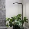 Agrobrite Floor Plant Lamp -Flowers Plants Shop 8592053 0215 tif