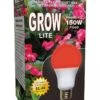 Miracle LED® Absolute Daylight™ Max Flowering Grow Light Bulb 1 Miracle LED® Absolute Daylight™ Max Flowering Grow Light Bulb -Flowers Plants Shop 8592298 001V miracle led absolute daylight max flowering grow light bulb 3 4