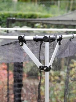 Storm Proof Crop Cage, Large -Flowers Plants Shop 8592463 004V tif
