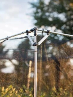 Storm Proof Crop Cage, Large -Flowers Plants Shop 8592463 114 tif