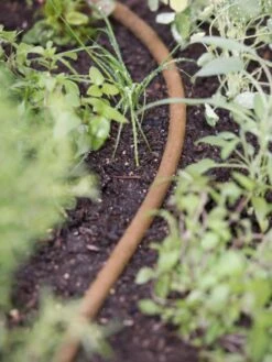 Premium 1/2" Soaker Hose 11 Premium 1/2" Soaker Hose -Flowers Plants Shop 8592729 4918 tif