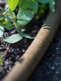 Premium 1/2" Soaker Hose 13 Premium 1/2" Soaker Hose -Flowers Plants Shop 8592730 4933 tif