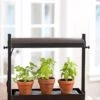 Micro Grow Light Garden 2 Micro Grow Light Garden -Flowers Plants Shop 8593235 2290 tif