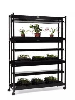 High Intensity 3-Tier SunLite® Garden 13 High Intensity 3-Tier SunLite® Garden -Flowers Plants Shop 8593944 1608 tif