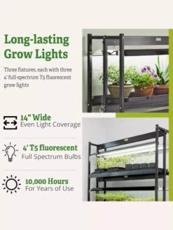 High Intensity 3-Tier SunLite® Garden 17 High Intensity 3-Tier SunLite® Garden -Flowers Plants Shop 8593944 6