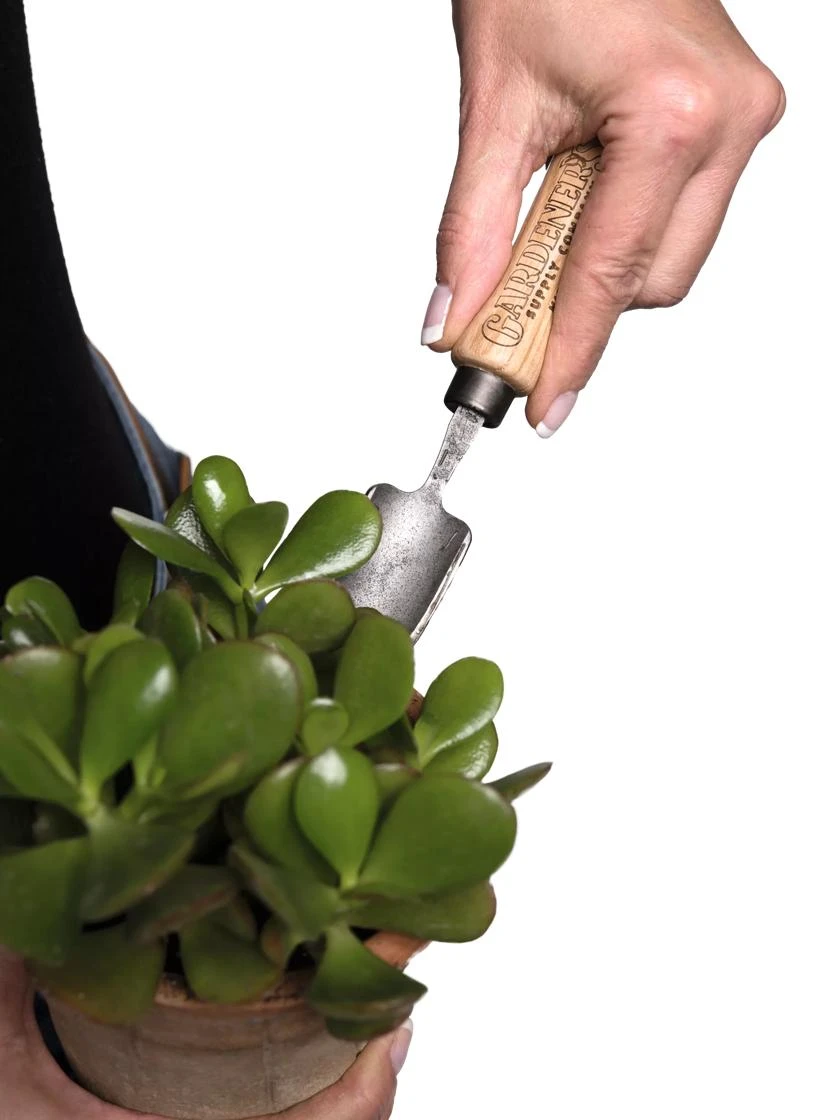 Gardener's Lifetime Mini Trowel 5 Gardener's Lifetime Mini Trowel - Image 3