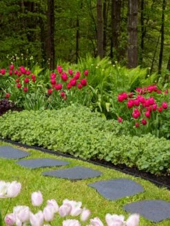 Recycled Rubber Flagstone Stepping Stone 18 Recycled Rubber Flagstone Stepping Stone -Flowers Plants Shop 8594282 518 tif