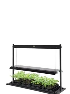LED SunLite® Tabletop Garden 9 LED SunLite® Tabletop Garden -Flowers Plants Shop 8595552 10125 tif