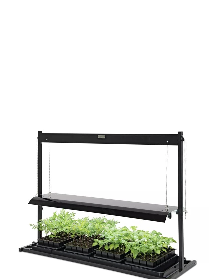 LED SunLite® Tabletop Garden 5 LED SunLite® Tabletop Garden - Image 3