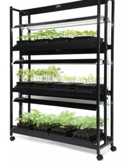LED SunLite® 3-Tier Garden -Flowers Plants Shop 8595554 10113 tif