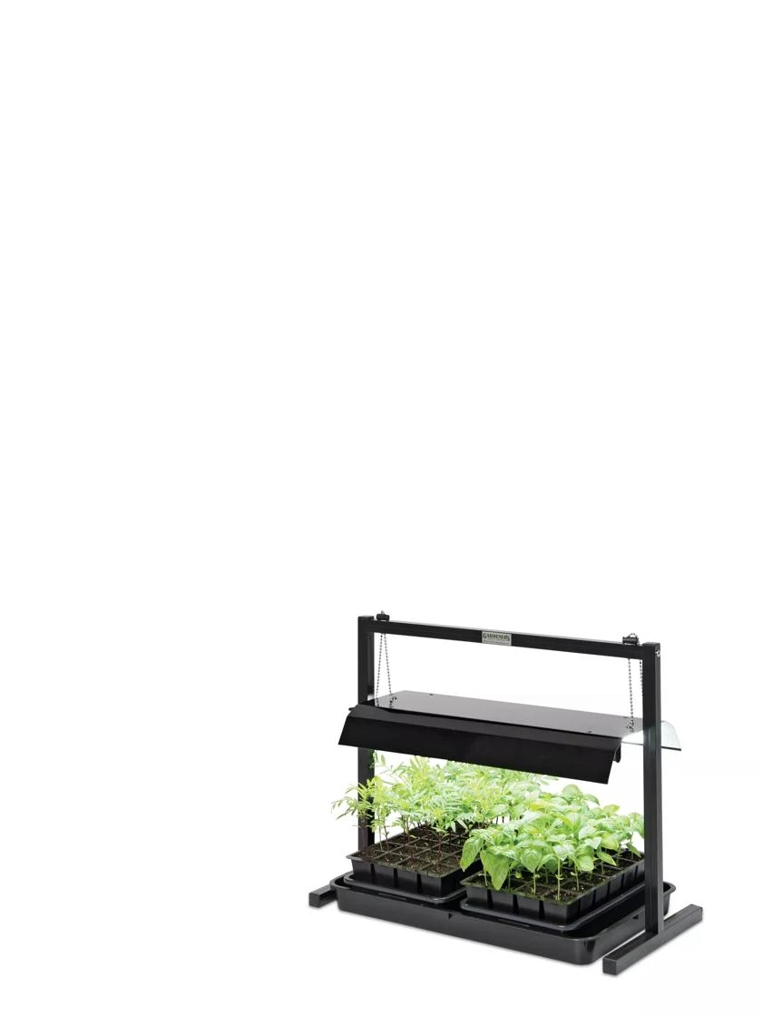 LED SunLite® Compact Tabletop Garden 5 LED SunLite® Compact Tabletop Garden - Image 3