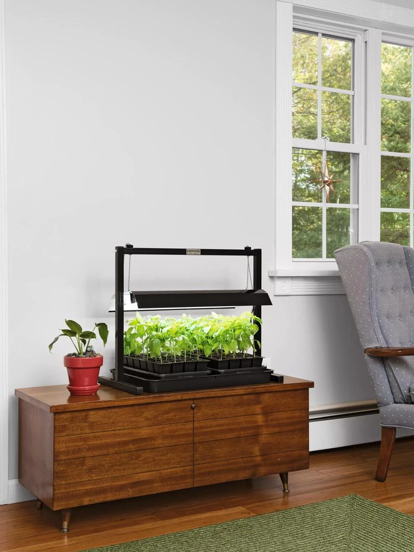 LED SunLite® Compact Tabletop Garden 3 LED SunLite® Compact Tabletop Garden