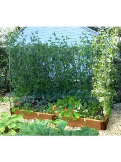 Stack & Extend Veggie Wall 11 Stack & Extend Veggie Wall -Flowers Plants Shop 8595683 02V 3 4