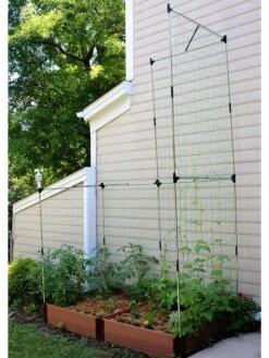 Stack & Extend Veggie Wall 10 Stack & Extend Veggie Wall -Flowers Plants Shop 8595683 06V 3 4