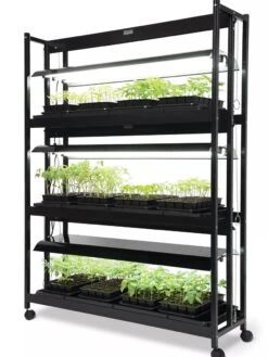 LED SunLite® High Intensity 3-Tier Garden 10 LED SunLite® High Intensity 3-Tier Garden -Flowers Plants Shop 8596024 10201 tif