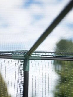 Crop Cage, 4' X 8' -Flowers Plants Shop 8596540 8966 tif