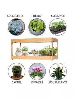 Low Bamboo LED Grow Light Garden -Flowers Plants Shop 8597720 3