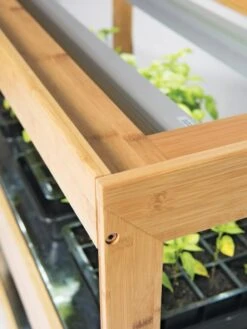 Medium Bamboo LED Grow Light Garden 31 Medium Bamboo LED Grow Light Garden -Flowers Plants Shop 8597720 7795 tif 4