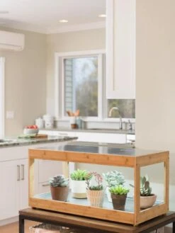 Low Bamboo LED Grow Light Garden -Flowers Plants Shop 8597720 9385 tif