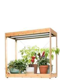 Medium Bamboo LED Grow Light Garden 28 Medium Bamboo LED Grow Light Garden -Flowers Plants Shop 8597883 1013 tif