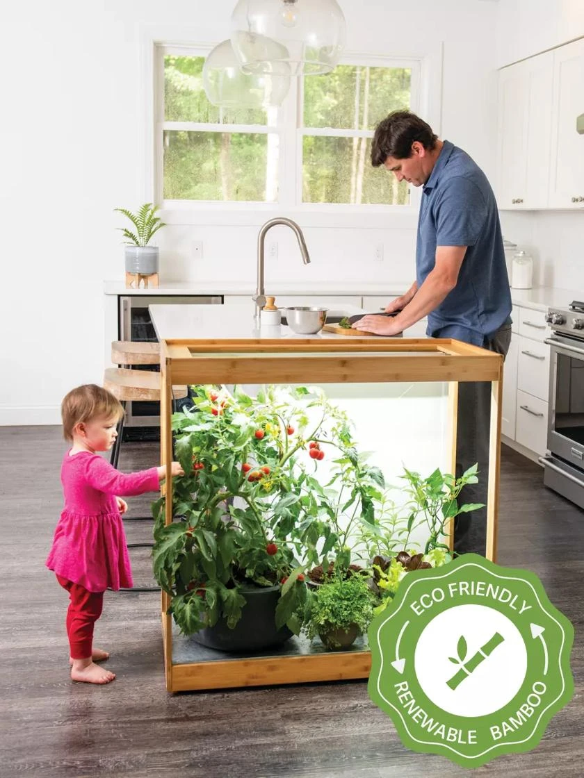 Medium Bamboo LED Grow Light Garden 3 Medium Bamboo LED Grow Light Garden