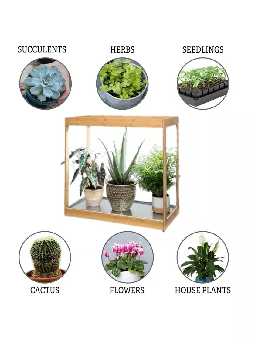 Medium Bamboo LED Grow Light Garden 8 Medium Bamboo LED Grow Light Garden - Image 6