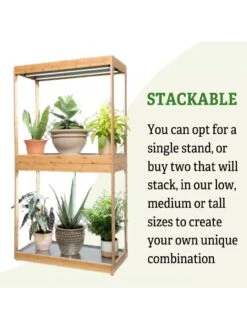 Medium Bamboo LED Grow Light Garden 22 Medium Bamboo LED Grow Light Garden -Flowers Plants Shop 8597883 6