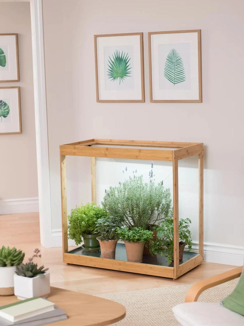 Medium Bamboo LED Grow Light Garden 15 Medium Bamboo LED Grow Light Garden - Image 13