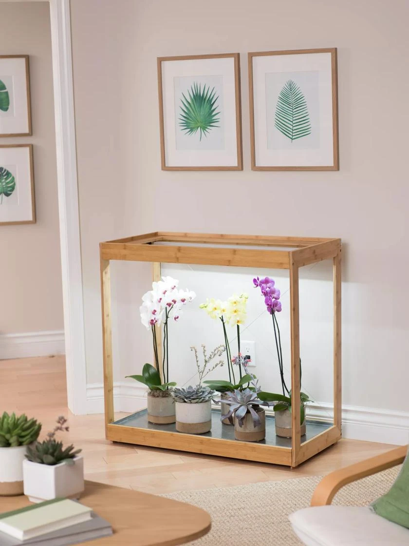 Medium Bamboo LED Grow Light Garden 10 Medium Bamboo LED Grow Light Garden - Image 8