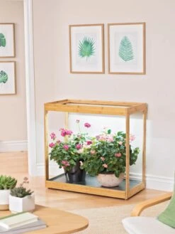 Medium Bamboo LED Grow Light Garden 26 Medium Bamboo LED Grow Light Garden -Flowers Plants Shop 8597883 9279 tif