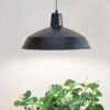 Barnyard Pendant LED Grow Light