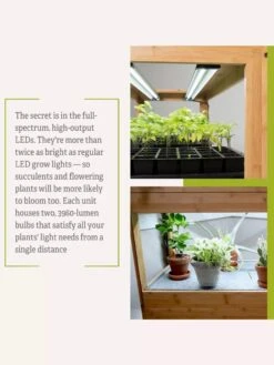 Bamboo LED Grow Light Garden For Succulents And Seeds -Flowers Plants Shop 8598084 7