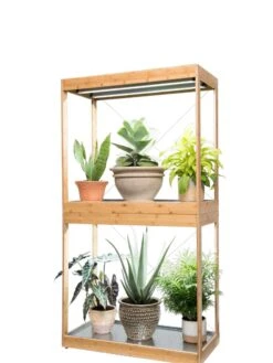 Bamboo Display LED Grow Light Garden -Flowers Plants Shop 8598086 4003 tif