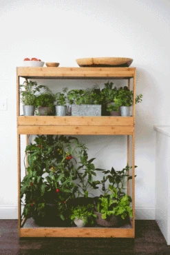 Bamboo Home LED Grow Light Garden 18 Bamboo Home LED Grow Light Garden -Flowers Plants Shop 8598088 BambooLEDHomeGarden light gif