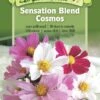 Sensation Blend Cosmos Organic Seeds -Flowers Plants Shop 8598224 01V tif