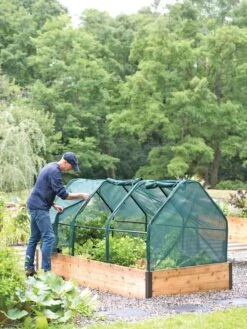 3-Season Plant Protection Tent, 4' X 8' -Flowers Plants Shop 8598282 0101 tif