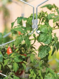 Gardener's Vertex Lifetime Tomato Cage -Flowers Plants Shop 8598426 0011 tif