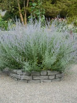 Rock Lock Interlocking Garden System, Curved Sets -Flowers Plants Shop 8598737 04V tif