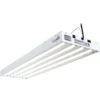 Agrobrite Designer 216W T5 4-Tube Fixture With Bulbs, 4'