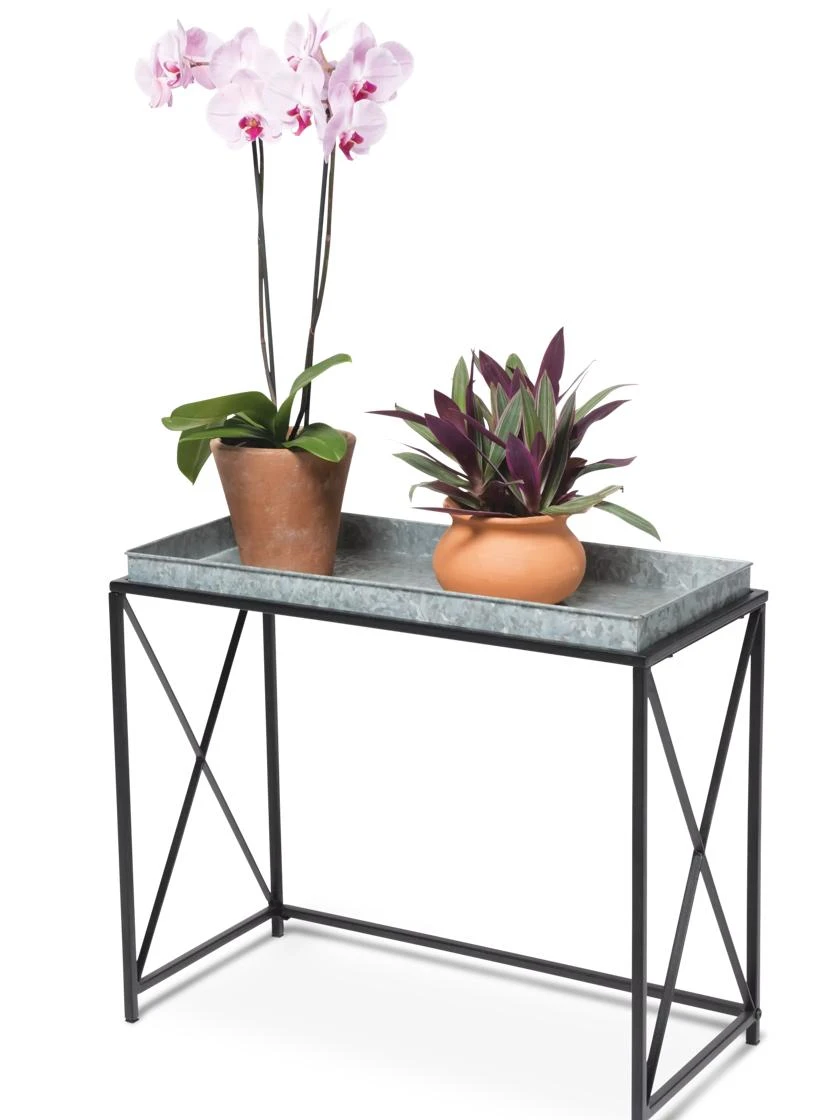 Plant Stand With Galvanized Tray 3 Plant Stand With Galvanized Tray - Image 2