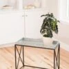 Plant Stand With Galvanized Tray 2 Plant Stand With Galvanized Tray -Flowers Plants Shop 8599022 14588 tif