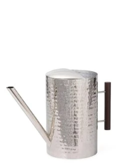 Stainless Steel Watering Can 9 Stainless Steel Watering Can -Flowers Plants Shop 8599057 12090 tif