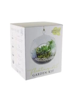 Floating Orb Terrarium Kit 7 Floating Orb Terrarium Kit -Flowers Plants Shop 8599146 01v