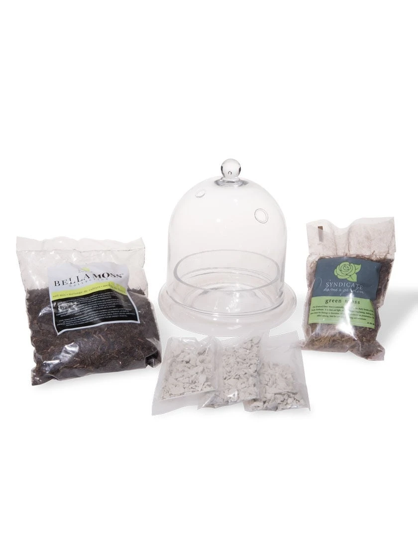 Cloche Terrarium Kit Medium 3 Cloche Terrarium Kit Medium