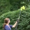 Sun Joe® Electric Telescoping Pole Hedge Trimmer, 4 Amp -Flowers Plants Shop 8599169 01v sun joe electric telescoping pole hedge trimmer