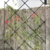 Achla Designs Freestanding Lattice Trellis -Flowers Plants Shop 8599475 01V tif
