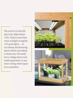 Bamboo Mini LED Grow Light Garden 20 Bamboo Mini LED Grow Light Garden -Flowers Plants Shop 8599624 06