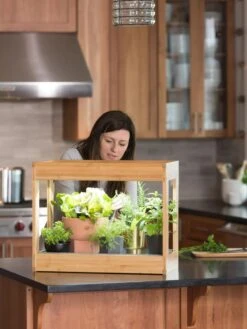 Bamboo Mini LED Grow Light Garden 15 Bamboo Mini LED Grow Light Garden -Flowers Plants Shop 8599624 12532 tif